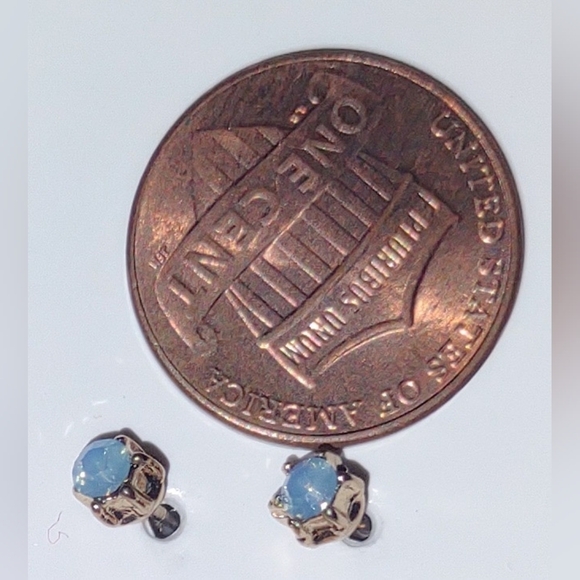 Jewelry - Hypoallergenic Earring #4